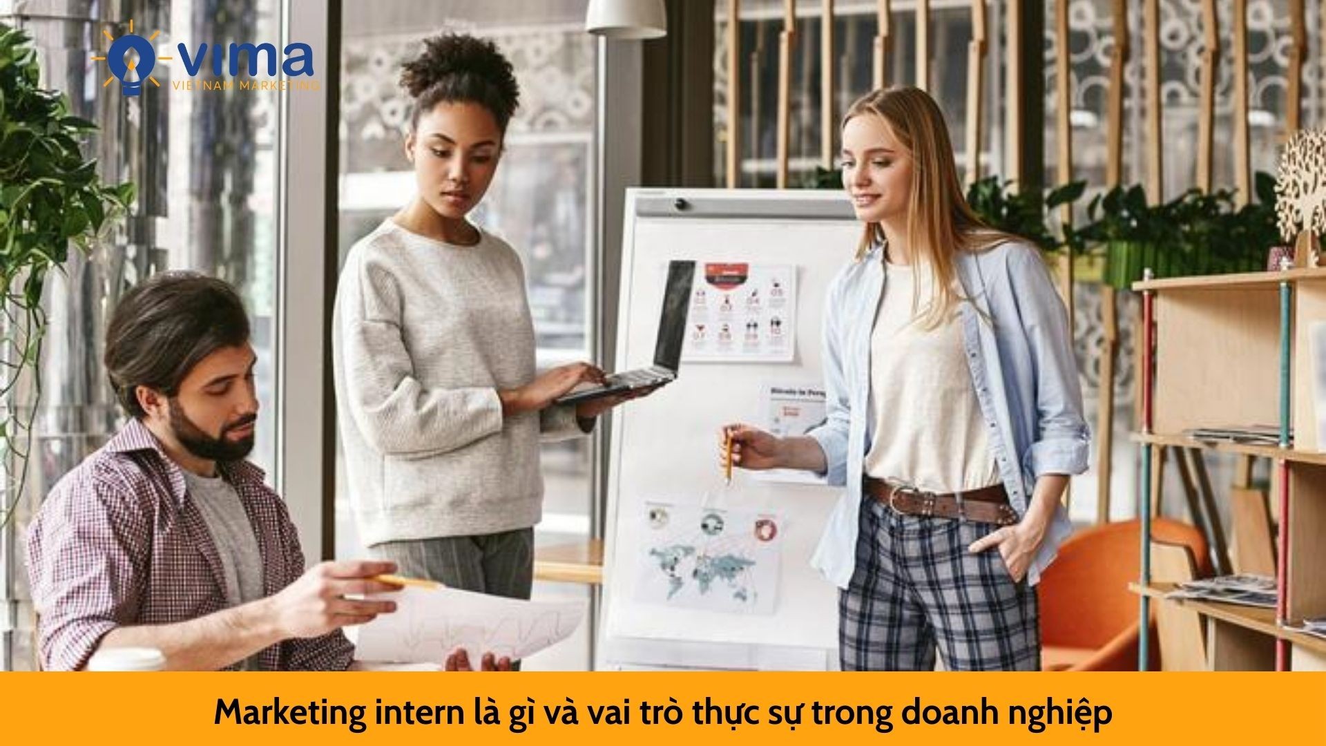 Marketing intern là gì và vai trò thực sự trong doanh nghiệp